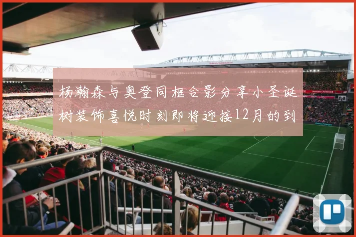 杨瀚森与奥登同框合影分享小圣诞树装饰喜悦时刻即将迎接12月的到来