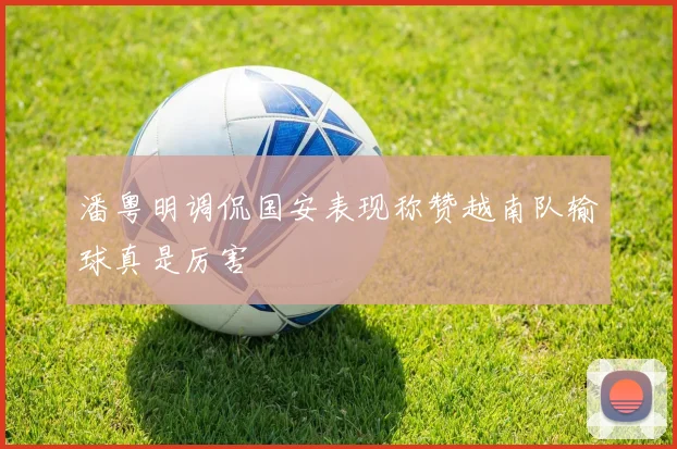 潘粤明调侃国安表现称赞越南队输球真是厉害