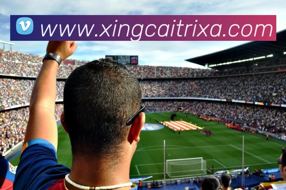 杏彩体育服务体系